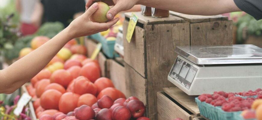 Заморозки знищили майже весь врожай: цьогоріч цей український фрукт буде в дефіциті Заморозки знищили майже весь врожай: цьогоріч цей український фрукт буде в дефіциті