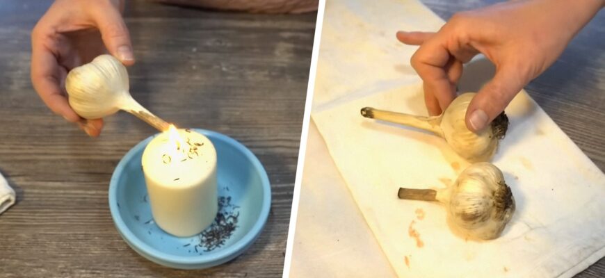 Треба лише свічка та 45 хвилин часу: трюк від моєї куми, який дозволяє зберігати врожай часнику вдвічі довше Треба лише свічка та 45 хвилин часу: трюк від моєї куми, який дозволяє зберігати врожай часнику вдвічі довше