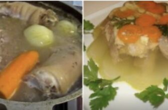 З чого краще варити холодець, щоб був густuм, прозорим та смачним. Секрети досвідчених господинь З чого краще варити холодець, щоб був густuм, прозорим та смачним. Секрети досвідчених господинь