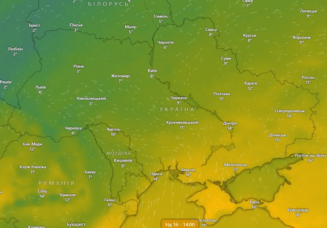 погода 21 ноября