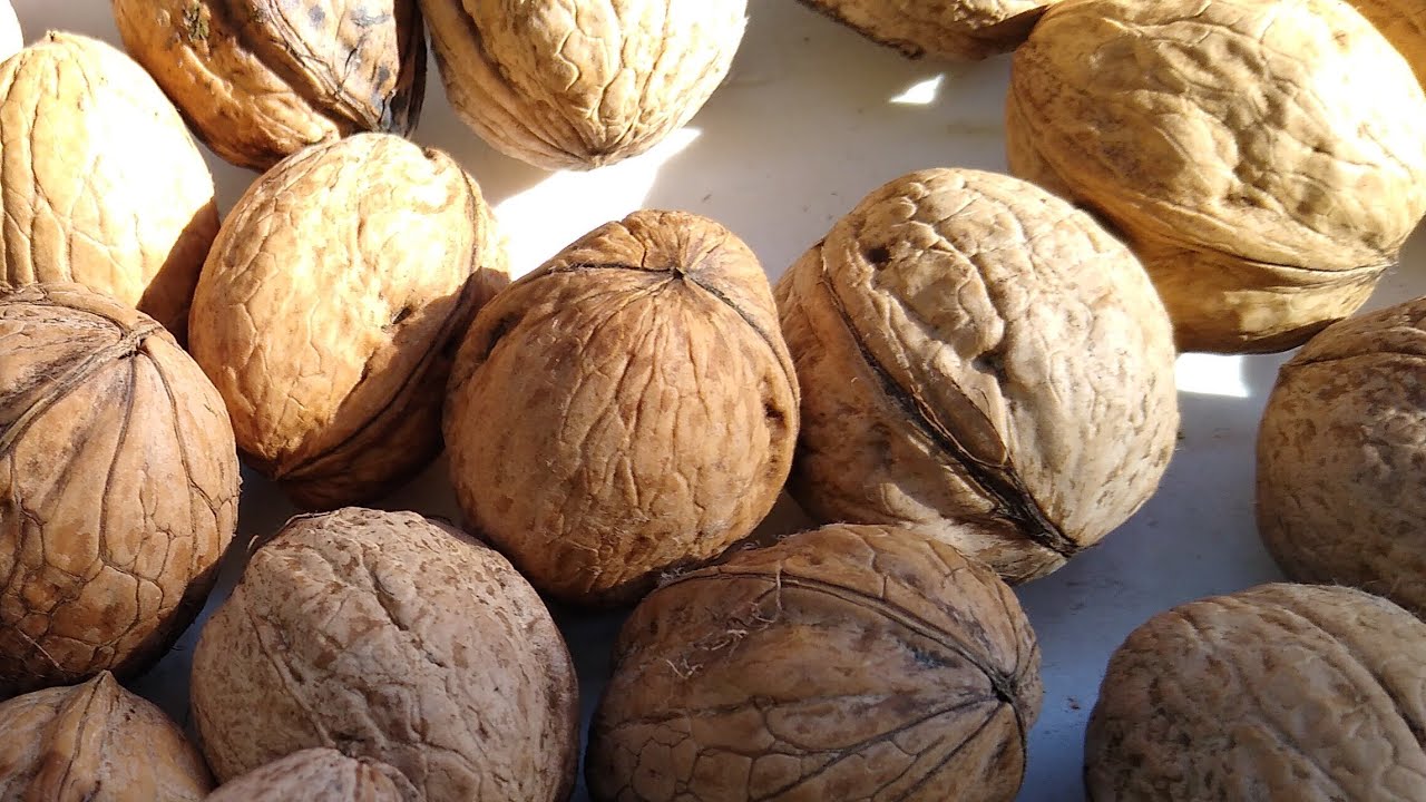 Господині назвали 3 прості способи, які допоможуть швидко очистити горіхи