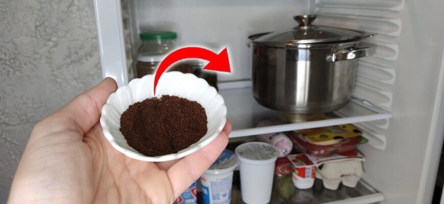 Поставила у холодильник 1 склянку із “цим” – і вирішила популярну проблему: кмітлива бабуся дала цю пораду Поставила у холодильник 1 склянку із “цим” – і вирішила популярну проблему: кмітлива бабуся дала цю пораду