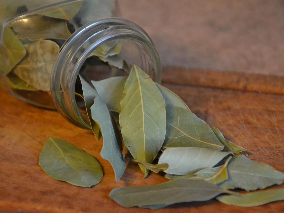 Господині розповіли, навіщо ставити на вікно сіль з лавровим листом