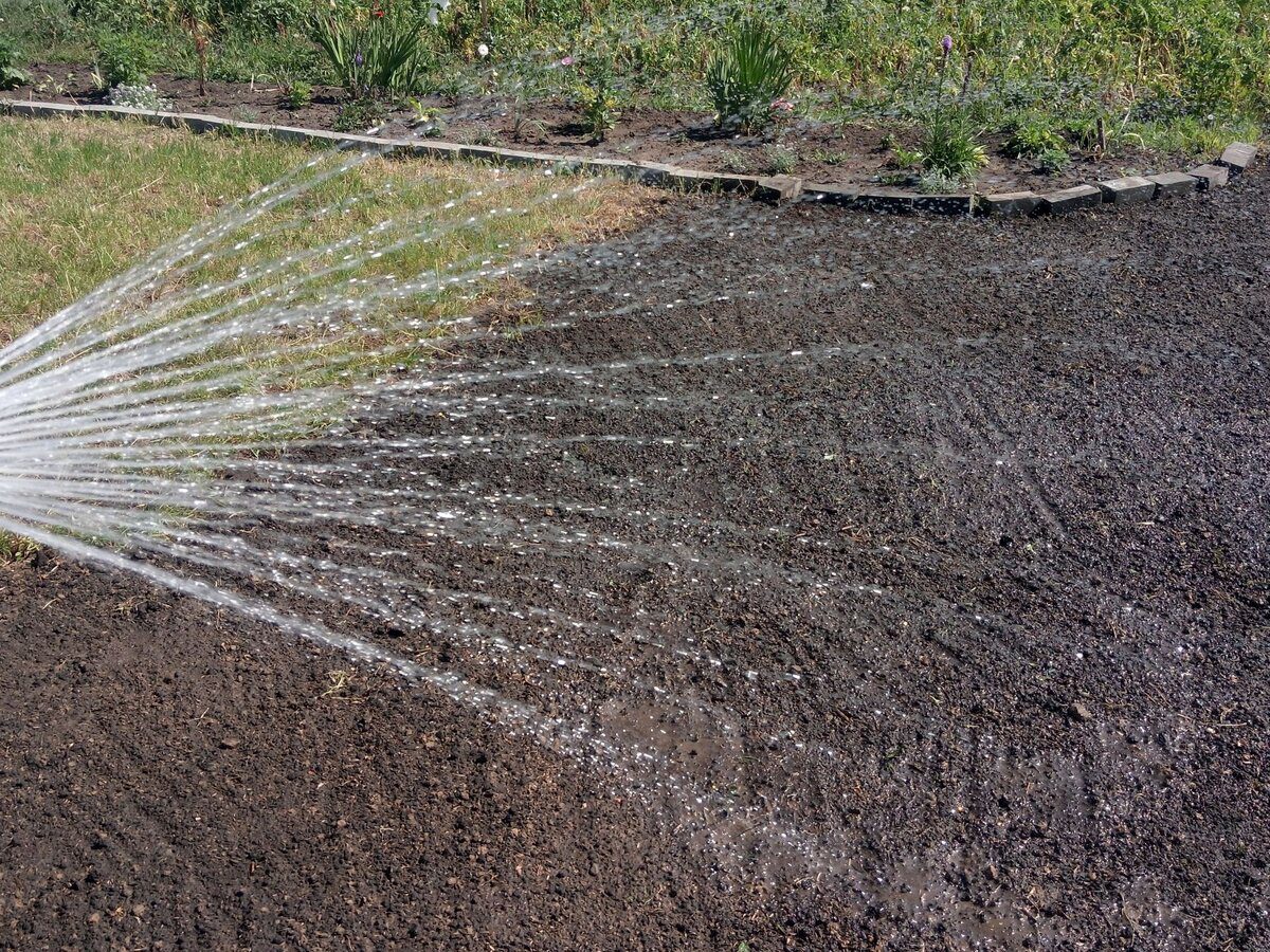 Експерти у галузі городництва розповіли про важливий крок з підготовки ділянки до зимівлі