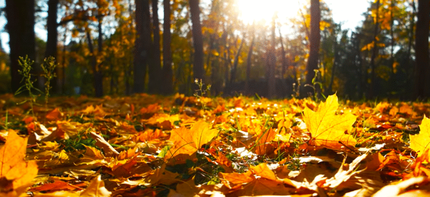 Де +3, а де +17: синоптик Діденко попередила, погода завтра буде дуже різною Де +3, а де +17: синоптик Діденко попередила, погода завтра буде дуже різною