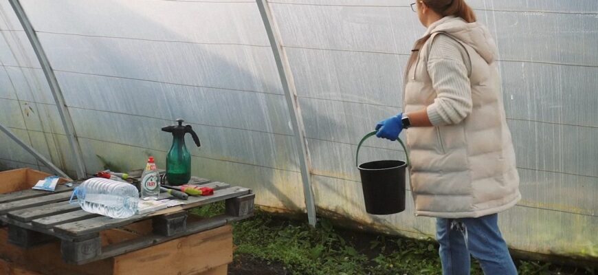 Теплицю закриваю не одразу: 2 вечірні прийоми восени рятують від плісняви та мишей до самої весни Теплицю закриваю не одразу: 2 вечірні прийоми восени рятують від плісняви та мишей до самої весни