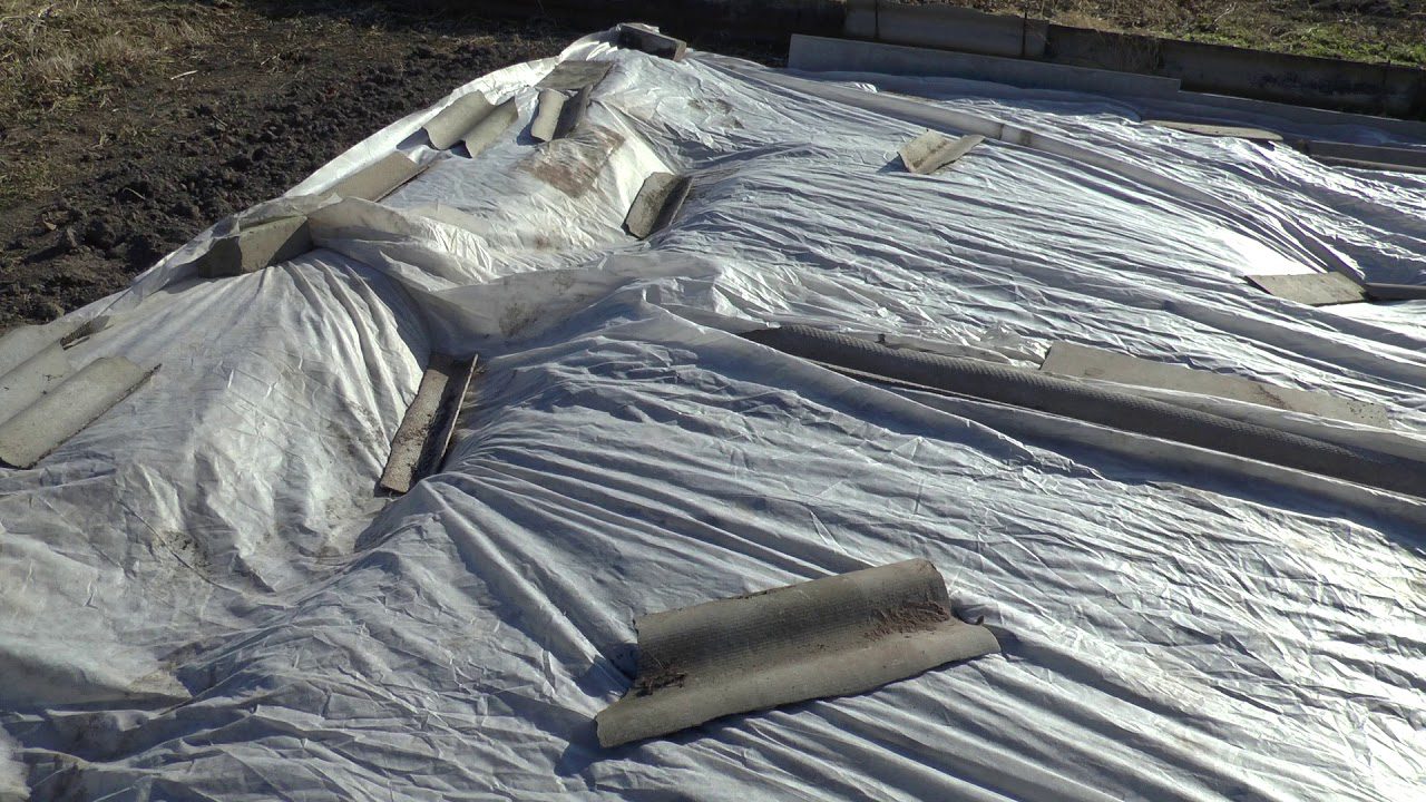 Як та чим вкрити озимий часник на зиму