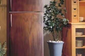 Поставте це на холодильник — і дім наповниться грошима: секрет достатку, про який ніхто не знає Поставте це на холодильник — і дім наповниться грошима: секрет достатку, про який ніхто не знає