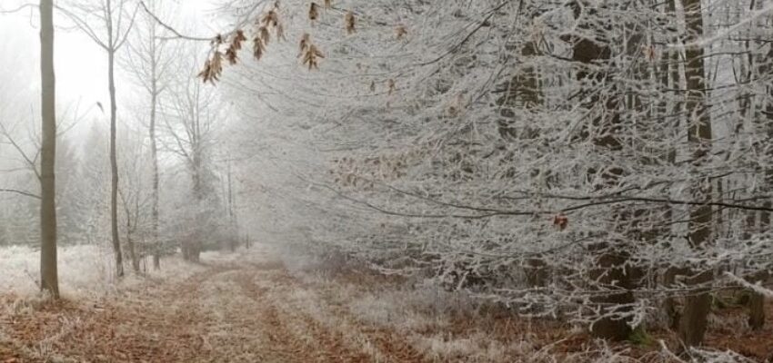 Холоди вже мчать до України: синоптикиня сказала, коли зміниться погода Холоди вже мчать до України: синоптикиня сказала, коли зміниться погода