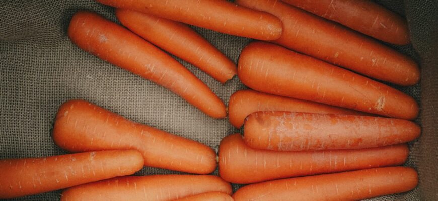 Моркву тримаю до літа: не в погріб і не в сарай, а в 1 сухе місце у квартирі – овочі не гниють місяцями Моркву тримаю до літа: не в погріб і не в сарай, а в 1 сухе місце у квартирі – овочі не гниють місяцями