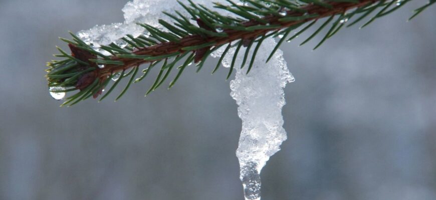 Після тріскучих морозів в Україну прийде атлантичне потепління: коли чекати на відлигу Після тріскучих морозів в Україну прийде атлантичне потепління: коли чекати на відлигу
