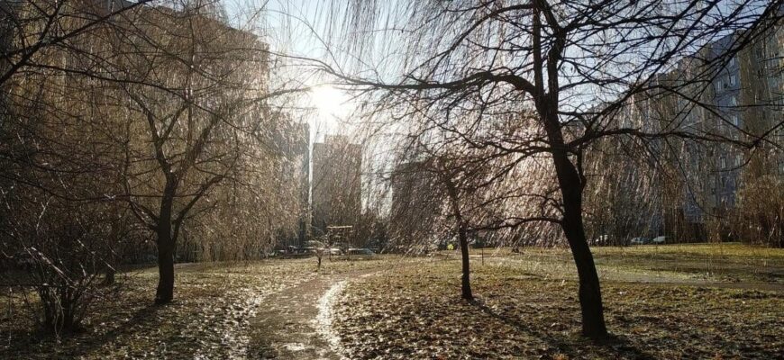 Українські синоптики змінили прогноз та назвали середню температуру зими Українські синоптики змінили прогноз та назвали середню температуру зими