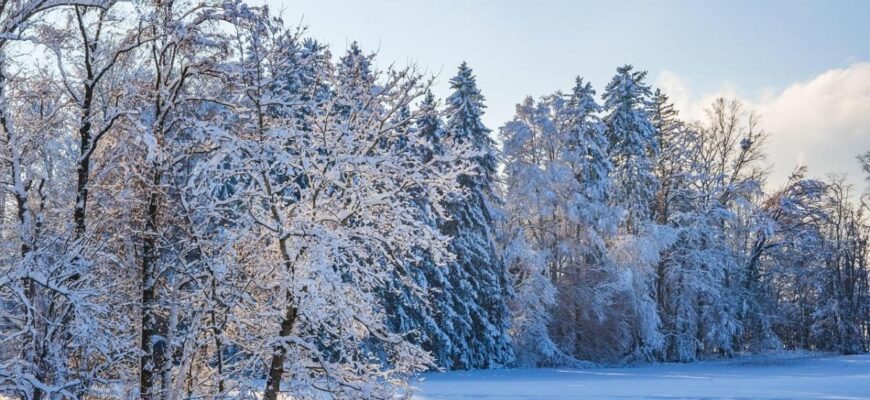Снігопади, ожеледиця та туман: названо регіони, які накриє зимовий шторм Снігопади, ожеледиця та туман: названо регіони, які накриє зимовий шторм