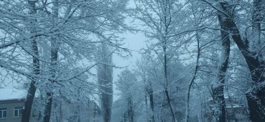 Зима різко увірвалася: Україну замітає снігом, фото та відео Зима різко увірвалася: Україну замітає снігом, фото та відео