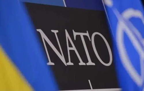 Аналітики США прокоментували пропозицію Зеленського щодо відмови України від НАТО Аналітики США прокоментували пропозицію Зеленського щодо відмови України від НАТО