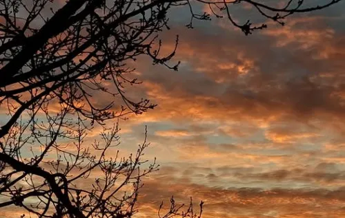 Орієнтовне похолодання з 26-го грудня не буде переконливим. Зима нас любить, – синоптикиня Орієнтовне похолодання з 26-го грудня не буде переконливим. Зима нас любить, – синоптикиня