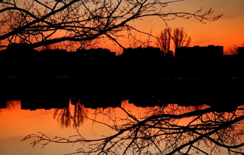 З 25-26 грудня у більшості областей України очікується похолодання, – синоптикиня З 25-26 грудня у більшості областей України очікується похолодання, – синоптикиня