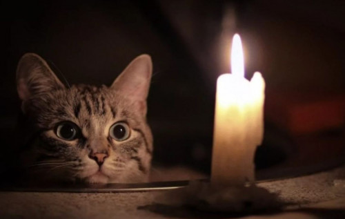 Чому одні будинки без світла частіше за інші: в "Укренерго" пояснили несправедливість Чому одні будинки без світла частіше за інші: в "Укренерго" пояснили несправедливість