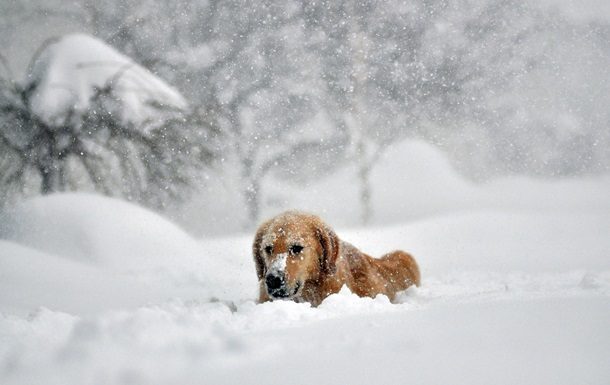 Холод повертається: синоптикиня попередила про зміну погоди найближчим часом Холод повертається: синоптикиня попередила про зміну погоди найближчим часом