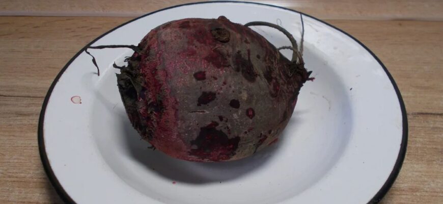 Буряк вариться у 2 рази швидше і не втрачає колір: додаю у воду всього 1 компонент для смаку “Вінегрету” Буряк вариться у 2 рази швидше і не втрачає колір: додаю у воду всього 1 компонент для смаку “Вінегрету”