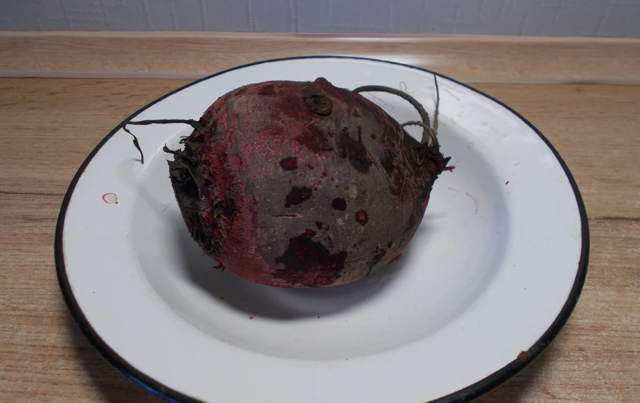 Господині розповіли, як зварити ідеальний буряк на салат Господині розповіли, як зварити ідеальний буряк на салат