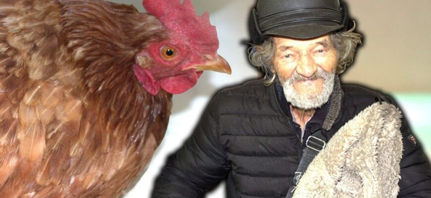 Діда з куркою обговорюють по всій Україні Діда з куркою обговорюють по всій Україні