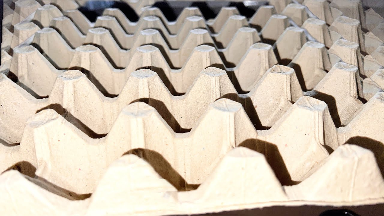 Садівники розповіли, як яєчний лоток замінює дорогі матеріали на грядках