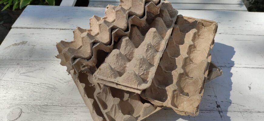 Досить викидати лотки від яєць: вони заощаджують дачникам до 2000 грн – зробіть грядки “на халяву” Досить викидати лотки від яєць: вони заощаджують дачникам до 2000 грн – зробіть грядки “на халяву”