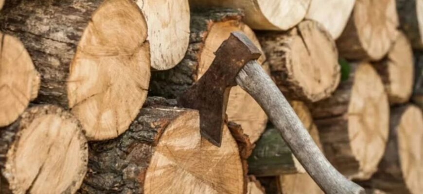 Навіщо сипати сіль на дрова: трюк допоможе вирішити вічну проблему Навіщо сипати сіль на дрова: трюк допоможе вирішити вічну проблему