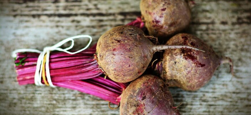 Саджу їх уже 5 сезонів поспіль: 3 гібриди буряка з реально найвищим вмістом цукру Саджу їх уже 5 сезонів поспіль: 3 гібриди буряка з реально найвищим вмістом цукру