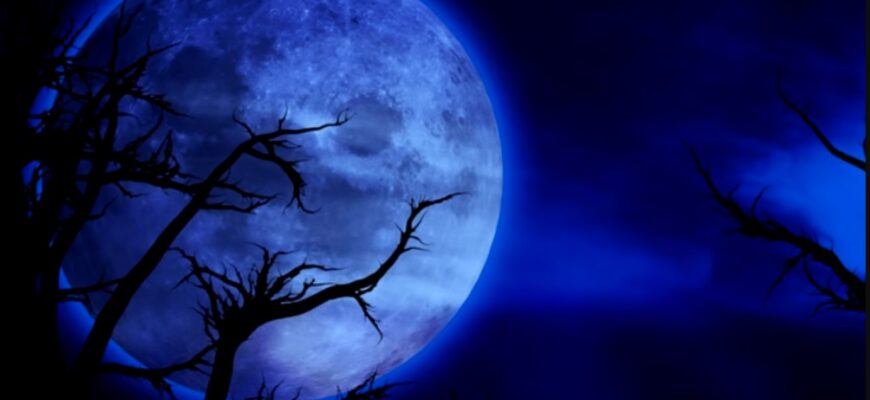 Овни – буде розрив зсередини, Діви – побачите весь бруд, Козероги – вже немає сенсу: гороскоп на 24 грудня 2025 року Овни – буде розрив зсередини, Діви – побачите весь бруд, Козероги – вже немає сенсу: гороскоп на 24 грудня 2025 року