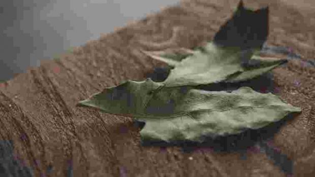 Дуже цікавий лайфхак! Навіщо класти лаврові листки у взуття Дуже цікавий лайфхак! Навіщо класти лаврові листки у взуття