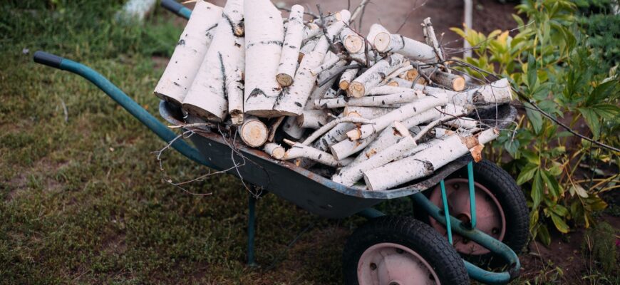 Кидаю це в піч разом із дровами – і тепла більше, а сажі в димоході немає: гріюсь у -30 за копійки Кидаю це в піч разом із дровами – і тепла більше, а сажі в димоході немає: гріюсь у -30 за копійки
