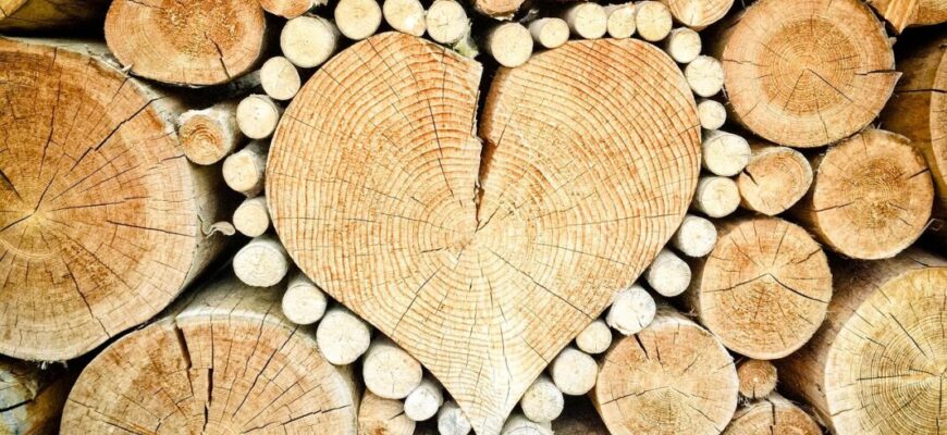 Як швидко висушити вологі дрова: 1 секрет для ідеальної розтопки від господаря з села Як швидко висушити вологі дрова: 1 секрет для ідеальної розтопки від господаря з села