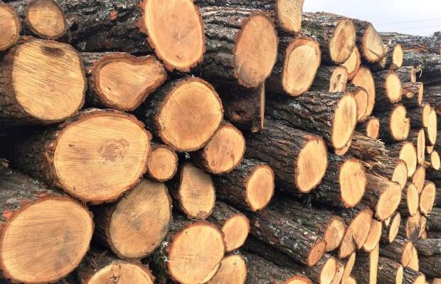 Гроші на дрова: Хто з українців отримає допомогу до кінця року Гроші на дрова: Хто з українців отримає допомогу до кінця року