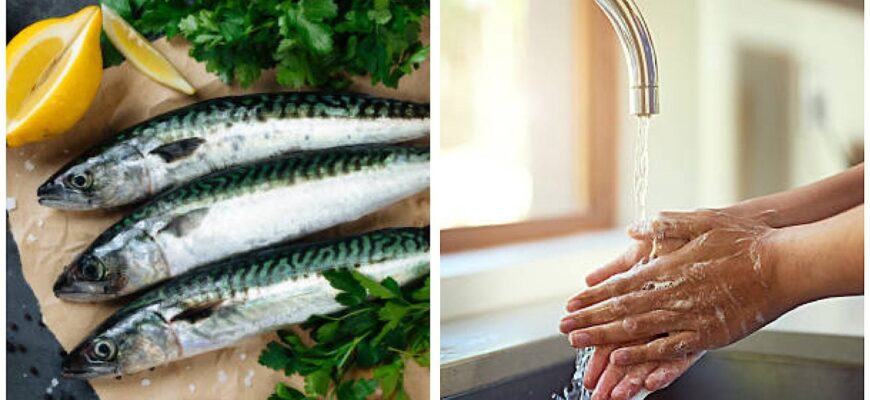 Тепер їм скумбрію та оселедець хоч щодня і руки не тхнуть: 1 лайфхак, щоб вимити руки за 5 секунд від запаху Тепер їм скумбрію та оселедець хоч щодня і руки не тхнуть: 1 лайфхак, щоб вимити руки за 5 секунд від запаху
