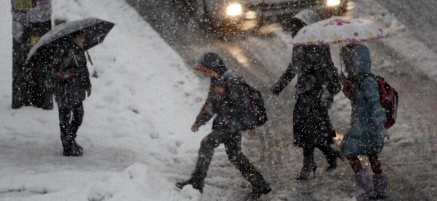 Куди зникає слово «слякоть» і чим його замінити українською Куди зникає слово «слякоть» і чим його замінити українською