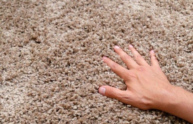 Килим стане як новий без прання – простий трюк, який варто зробити перед святами Килим стане як новий без прання – простий трюк, який варто зробити перед святами