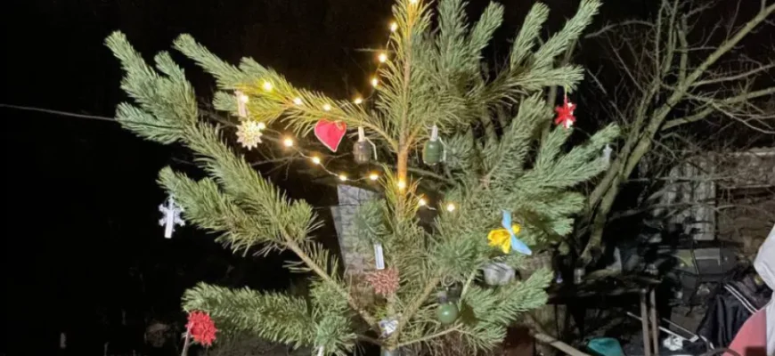 Мороз і канонада замість свята: як захисники наближають Перемогу Мороз і канонада замість свята: як захисники наближають Перемогу