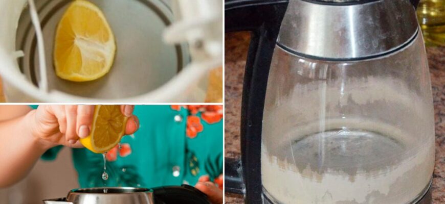 Всього 1 фрукт замінить купу хімії на кухні: накип у чайнику розчиниться, неначе й не було Всього 1 фрукт замінить купу хімії на кухні: накип у чайнику розчиниться, неначе й не було