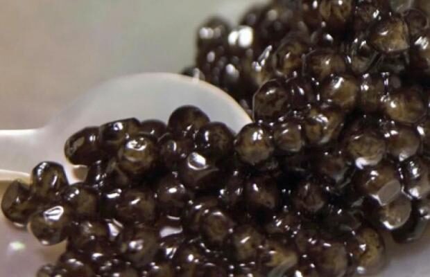 Нині став рідкістю: Ось який делікатес у СРСР продавали відрами Нині став рідкістю: Ось який делікатес у СРСР продавали відрами