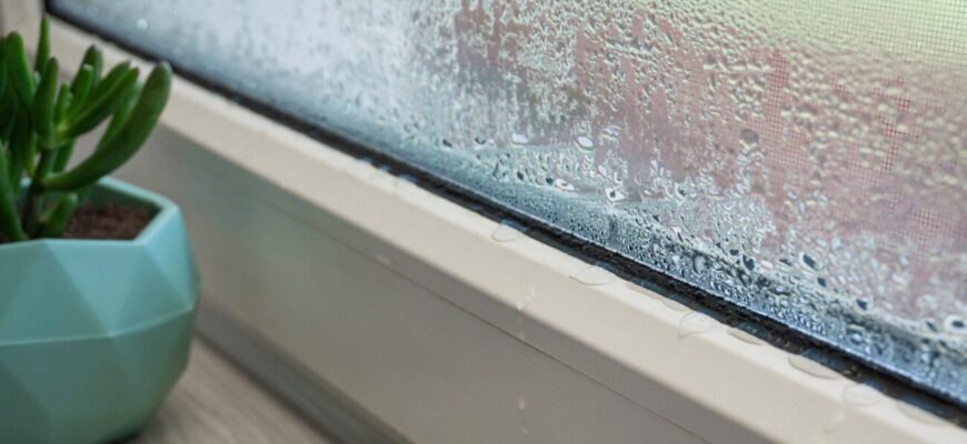 3 лаврових листи, 3 ложки солі, 3 ложки рису — це не рецепт якогось “варива”: потужний засіб від конденсату 3 лаврових листи, 3 ложки солі, 3 ложки рису — це не рецепт якогось “варива”: потужний засіб від конденсату