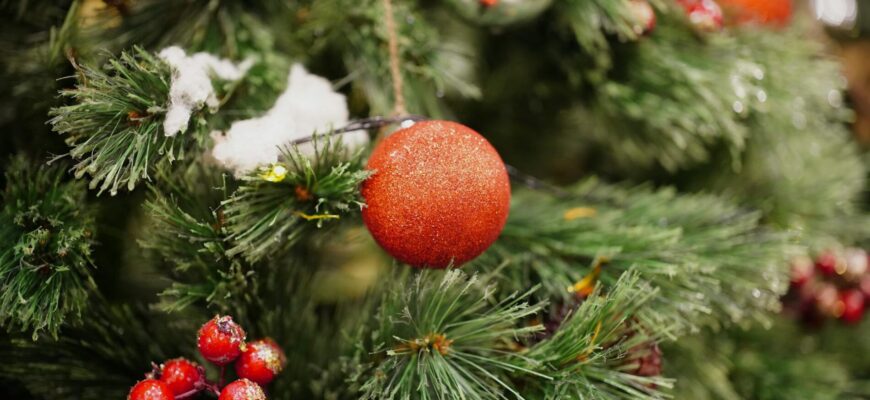 Щоб ялинка стояла в квартирі всі 30 днів і не осипалася: я обприскую її 2 рази на тиждень 1 диво-розчином Щоб ялинка стояла в квартирі всі 30 днів і не осипалася: я обприскую її 2 рази на тиждень 1 диво-розчином