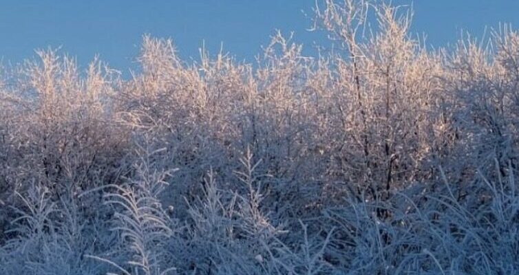 Влупить -7: синоптики назвали дату різкого похолодання Влупить -7: синоптики назвали дату різкого похолодання