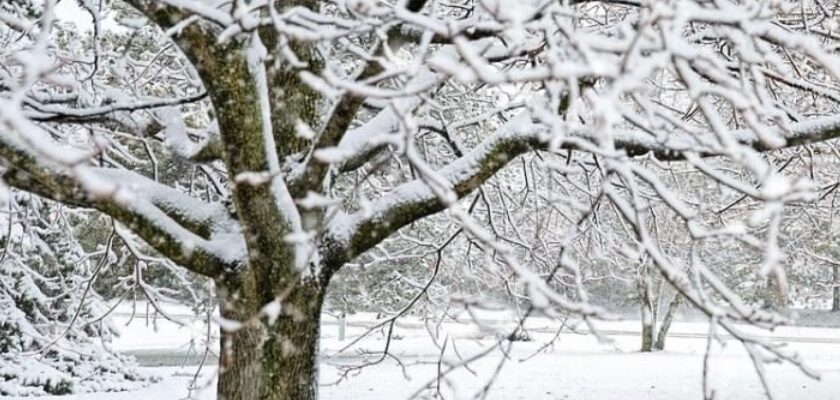 На регіони обрушиться шторм: синоптики зробили несподіваний прогноз На регіони обрушиться шторм: синоптики зробили несподіваний прогноз