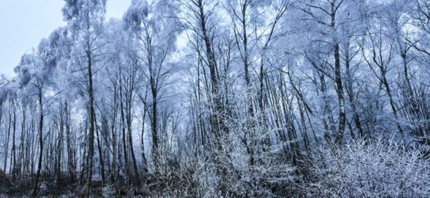 До України суне похолодання: де вдарить мороз і засипле снігом До України суне похолодання: де вдарить мороз і засипле снігом