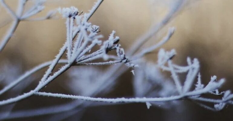 День ангела 14 грудня: кого та як вітати з іменинами День ангела 14 грудня: кого та як вітати з іменинами