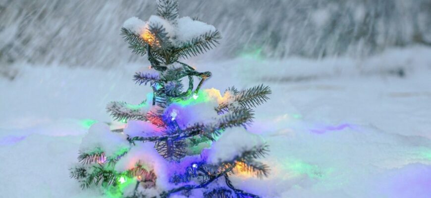 Сьогодні святкуємо Різдво: історія та традиції одного з найбільших церковних свят Сьогодні святкуємо Різдво: історія та традиції одного з найбільших церковних свят