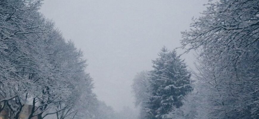 Готуйтеся до морозу: прогноз погоди до кінця 2025 року Готуйтеся до морозу: прогноз погоди до кінця 2025 року