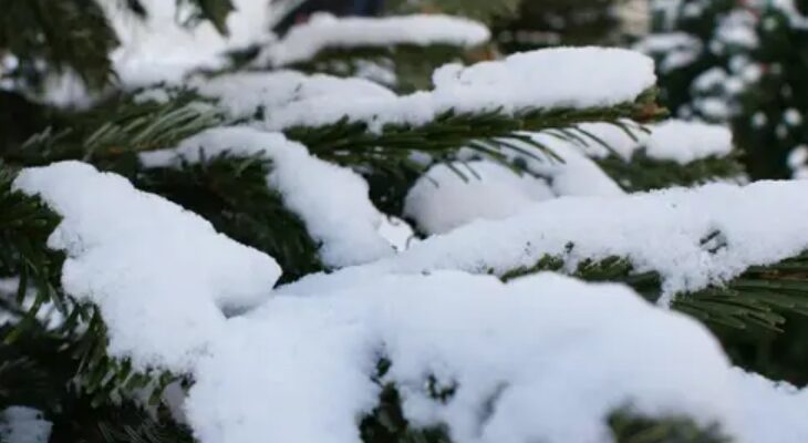 Україну чекають неприємні сюрпризи від погоди: де засипле мокрим снігом Україну чекають неприємні сюрпризи від погоди: де засипле мокрим снігом